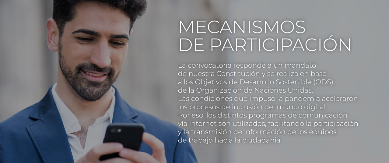 Mecanismos de Participacion